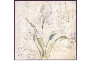 dayka papier do decoupage - irysy