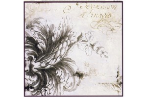 dayka papier do decoupage - liście