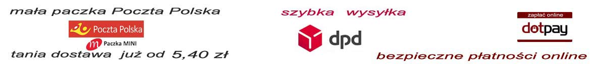 płatności i dostawa w sklepie internetowym toiowo